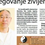 negovanje življenja v pomladnem času in tradicionalna kitajska medicina
