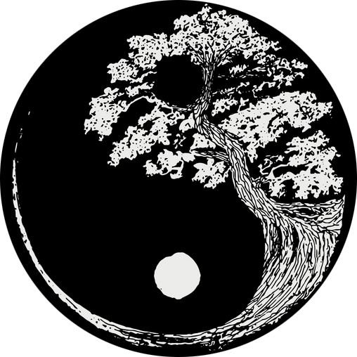 Yin Yang simbol ravnovesja v tradicionalni kitajski medicini